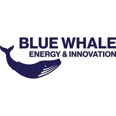 BW Energy & Innovation logo