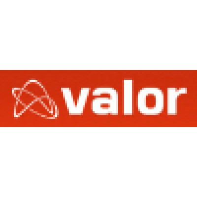 Valor Computerized Systems logo
