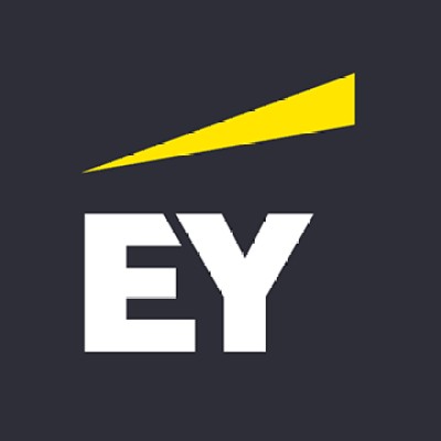 EY Technology Solutions logo